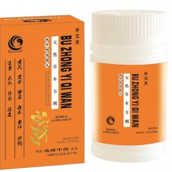 Bu Zhong Yi Qi Wan 