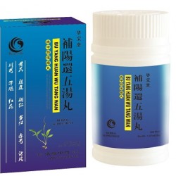 Bu Yang Huang Wu Tang Wan