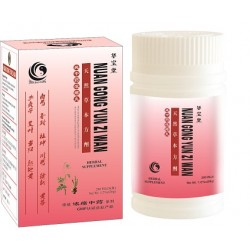 Nuan Gong Yun Zi Wan 