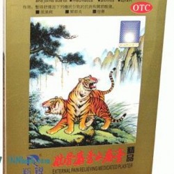 壯骨麝香止痛膏 External Pain Relieving Medicated Plaster