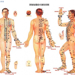 SPA解决经络不通