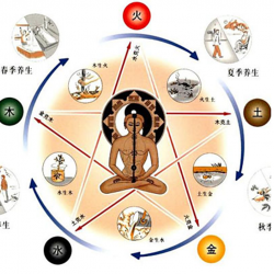 五脏排毒最简单有效的方法